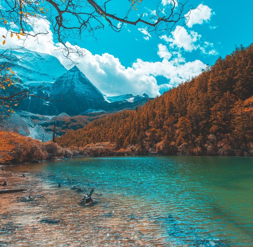 Shangri-La Holiday